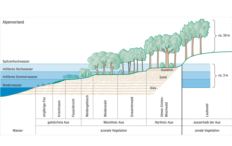 Integrales Flussgebietsmanagement: Illustrationen.