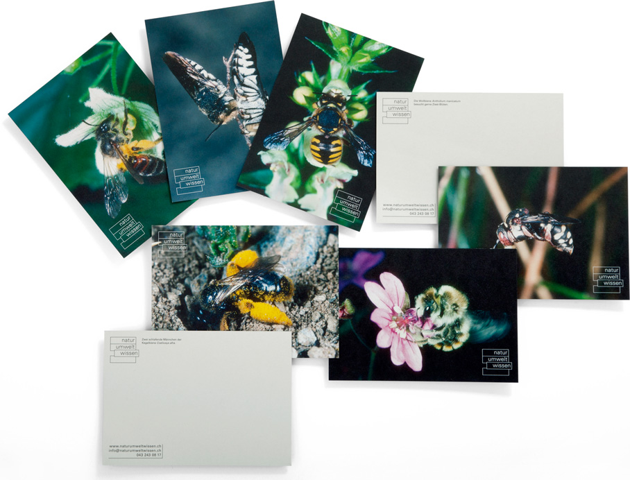 Postkarten-Gestaltung: Natur Umwelt Wissen.